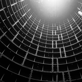 Сахарная выдра Самарканд