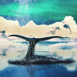 TeriberkaPró, Авторские туры