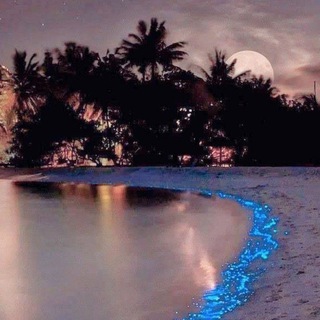 🔥🌎ГОРЯЩИЕ ТУРЫ🔥🌍