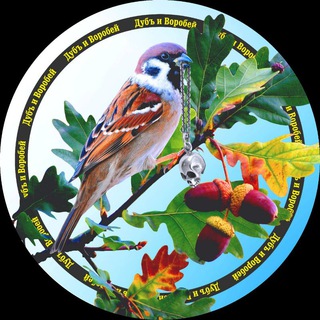 Карьерное Сообщество 