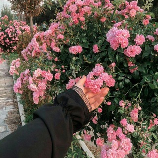 𝒫ℯ𝓇𝓈ℴ𝓃𝒶𝓁 𝒹𝒾𝒶𝓇𝓎..♡︎