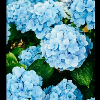 Серце відкривай❤️