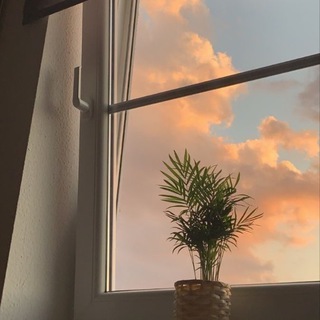 📚Эстетика по всюду 📚