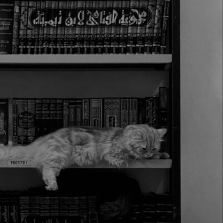 свет во тьме.