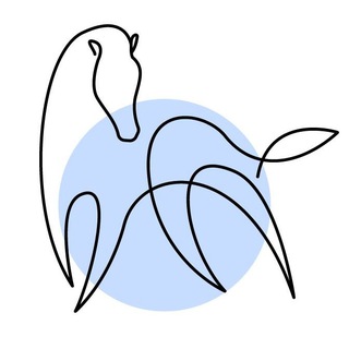 Grey Dream, Конный магазин