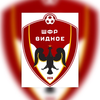 ФК ШФР ВИДНОЕ