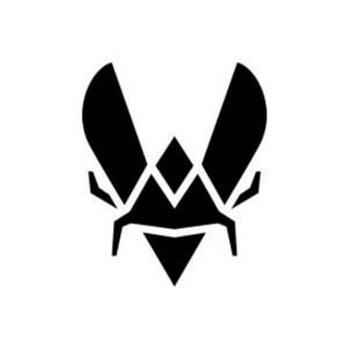 Team Vitality | Киберспортивные турниры