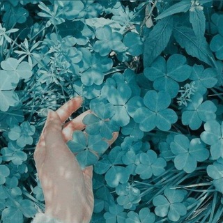 ☁️i r x d x s c e n t ~ o u t l e t☁️