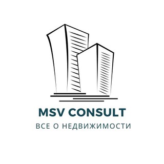 MSV CONSULT