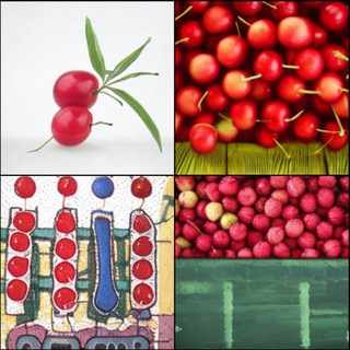 Репрезентативный черри пикинг 🍒