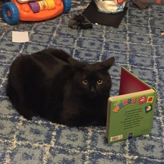 Господство Сырных Раков🧀🌪️