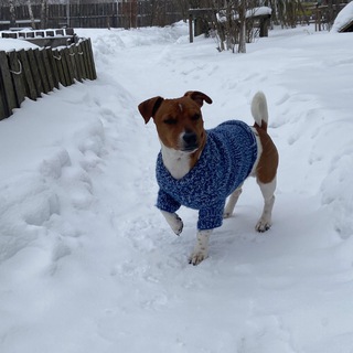 🍀 ₳թԿน❤️‍🔥