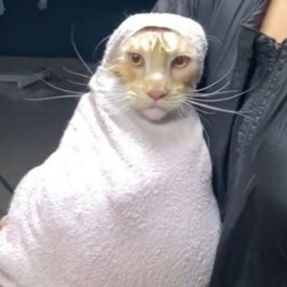 Консерватория