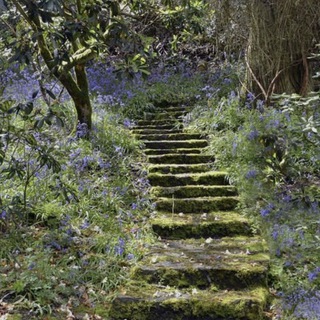 🫐🎧your world🎧🫐