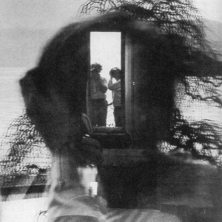 𝙉𝙤𝙧𝙬𝙚𝙜𝙞𝙖𝙣 𝙒𝙤𝙤𝙙