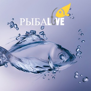 Рыбалка | РыбаLove🐟