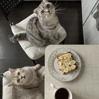 Эᴄᴛᴇᴛиᴋᴀ Ᏼдᴏхнᴏʙᴇния🖤