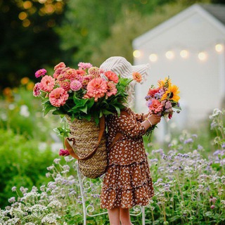 Красивые картинки