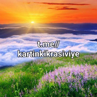 Красивые картинки