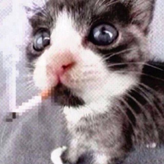 elyxaw|авы|обои💀