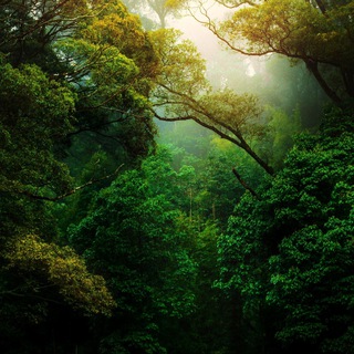 Nature Landscape Animal Photography Videos - TikTok Backup by AppleEditing [Mountains / Glaciers / Oceans / Switzerland]