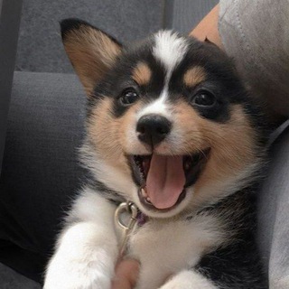 𝗪𝗔𝗟𝗟𝗣𝗔𝗣𝗘𝗥𝗦 👻🤍