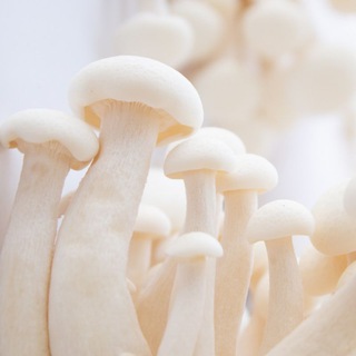 Предметный фотограф/Инфографика/ МСК