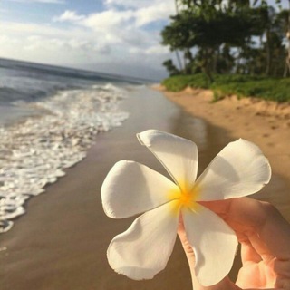 صور ✨فتشوب 💫 وفلاتر