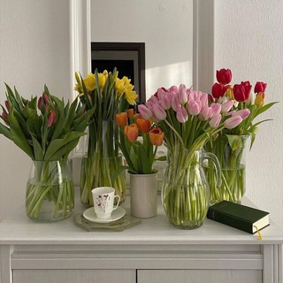 • 𝚈𝚘𝚞𝚛 𝚐𝚊𝚕𝚒𝚛𝚎𝚢 •