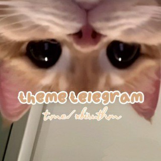 (HIRMIN) Theme Telegram – xb
