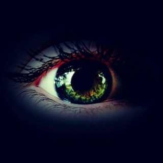 Безумие бодрит