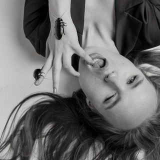 Аудио-посты | @paulaseagull