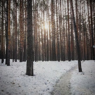 Цитатка братка