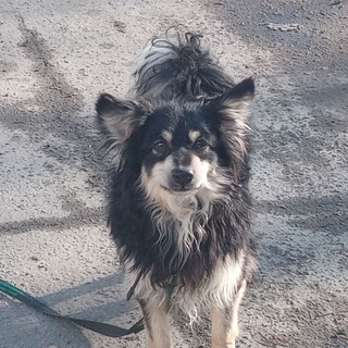 Чики брики🍔🌭🍕