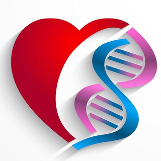 Твоя трансформация