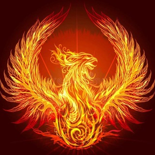 Живое целительство 👁️