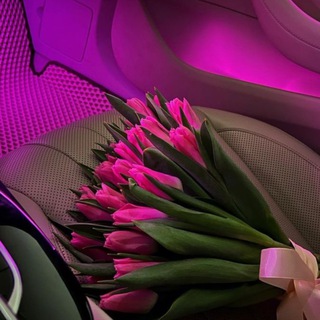 𝓵𝓸𝓿𝓮 𝔂𝓸𝓾