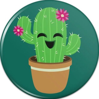 Лысый кактус прямая