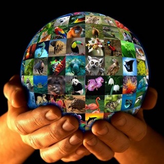 🌍БАРДАК📸