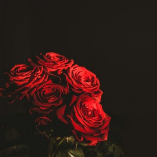 just For Excutivers✨👑