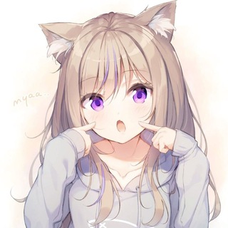 те самые котики🐾