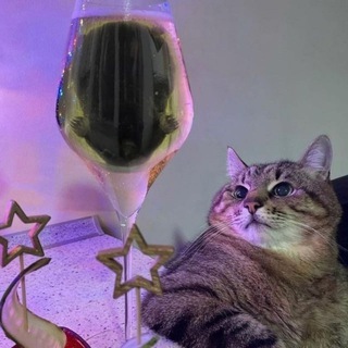 канал без картинок и только