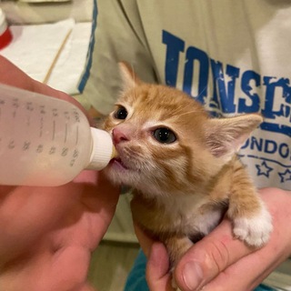 кенксксне пиздит😍😍