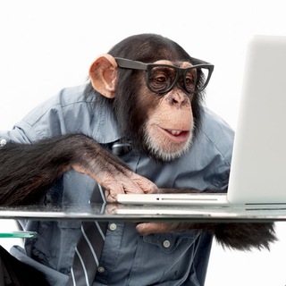 Paradeevich | Парадеевич | Кореш | Хазяева