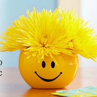 Позитив каждый день 😁