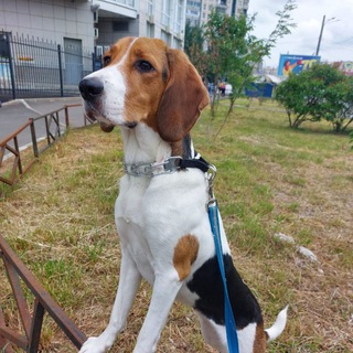 Просто о повседневном