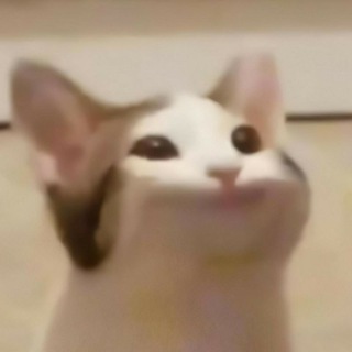 Второсортные видео 18+