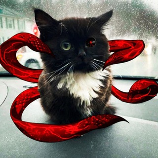 shabba - мемы, видео 🌋