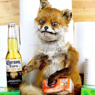 Упоротый Лис