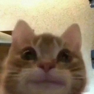 Видео Приколы😃🤣